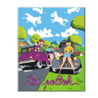 2CV voiture pin up humour